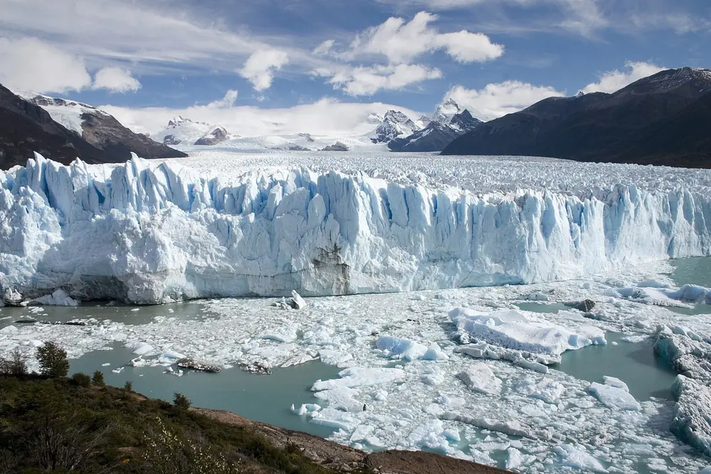 Divición Medio Ambiente